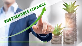 SUSTAINABLE FINANCE [upl. by Kazue]