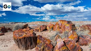 Petrified Forest National Park [upl. by Rodrick]