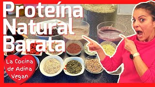 Proteína en Polvo  CASERA NATURAL BARATA VEGAN 💜 [upl. by Kingdon]