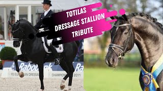 RIP Totilas Dressage Stallion Tribute 20002020 [upl. by Azar]