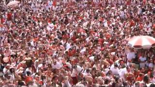 Biggest flash mob in Bayonne France 2010 [upl. by Uttasta]