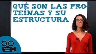 La estructura de las proteínas y su definición [upl. by Dorothee582]