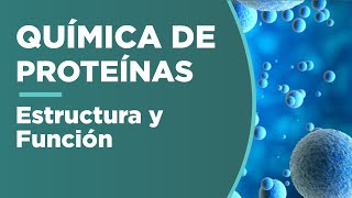 Estructura y función de PROTEÍNAS  Química [upl. by Bopp925]