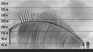 The New Biggest Titan  Attack on Titan Size Comparison [upl. by Allets]