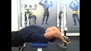 Dumbbell Pullovers A Forgotten Chest Exercise [upl. by Xed667]