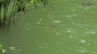 Fishing Tilapia With Focus on Float [upl. by Erdrich483]