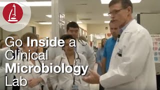 Go Inside a Clinical Microbiology Lab [upl. by Apeed]