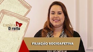 Explica Direito Filiação Socioafetiva  2019 [upl. by Shugart]