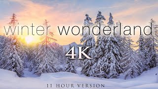 4K 11 Hours of Winter Wonderland  Calming Hang Drum Music for Relaxation Stress Relief UHD [upl. by Arondel]