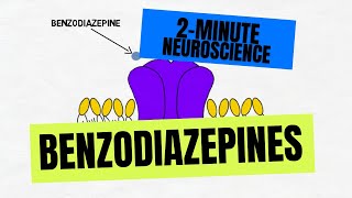 2Minute Neuroscience Benzodiazepines [upl. by Aggappora]