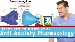 Anti Anxiety Pharmacology Benzodiazepines and Barbiturates [upl. by Selec]