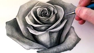 How to Draw a Rose [upl. by Hootman]