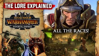 The Beginners Lore Overview Guide to the races in Total War Warhammer Trilogy  Warhammer Fantasy [upl. by Ethban]