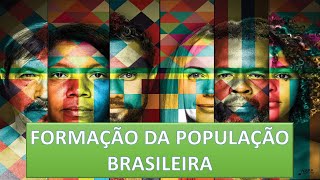 Formação da População Brasileira [upl. by Annawt702]