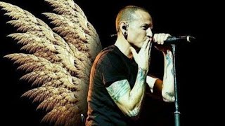 Chester Bennington A tribute [upl. by Young]