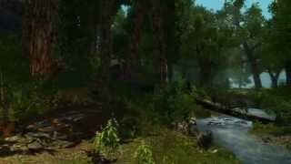 Enderal  Trailer 2014 English [upl. by Ronnholm877]