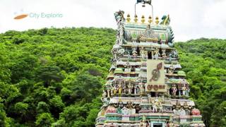 Palani Murugan Temple  Palani  Tamil Nadu  Documentary  City Explorio [upl. by Bashemath105]