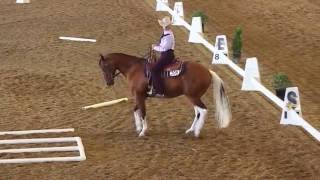 2016 Cowboy Dressage World Finals [upl. by Pip2]