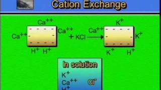 AGPR201 10 03 Cation Exchange Graphic [upl. by Korella]