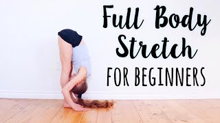 Beginner Stretches for Flexibility [upl. by Enenaj]