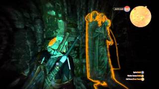 The Witcher 3 Wild Hunt Walkthrough Gameplay Part 3  The Beast PS4 Xbox One [upl. by Assennav]