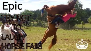 Try not to laugh  horse fails [upl. by Orme]