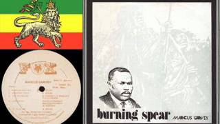 Burning Spear ♬ Slavery Days 1976 [upl. by Allez316]