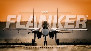 Sukhoi Su30  Thrust Vectored Beast [upl. by Ripp327]