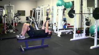 Dumbbell Pull Over  Triceps Skull Crusher Exercise Tutorial [upl. by Ormand390]