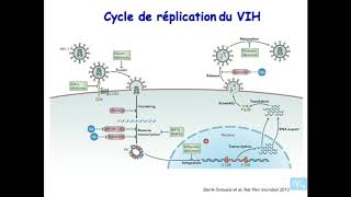 immunologie de linfection VIH partie 1 [upl. by Kaazi]