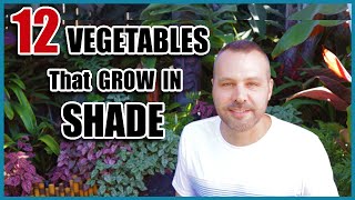 12 Vegetables That Grow in Shade [upl. by Ringe]