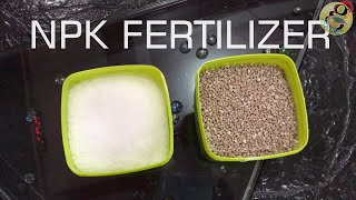 NPK Fertilizer for Plant Application in Gardening How Much and How to Use  English [upl. by Daffi]