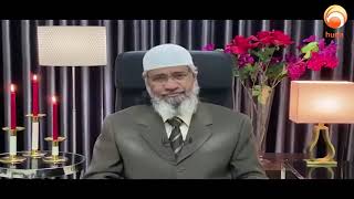 why muslim do tawaf around kaaba Dr Zakir Naik HUDATV islamqa new [upl. by Wendie]