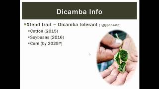 quotDicamba24D amp Trees Old Herbicides Causing New Problemsquot [upl. by Louanna585]