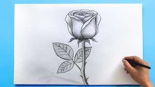 ROSE Drawing Easy 🌹 How to Draw a Rose step by step [upl. by Henarat799]