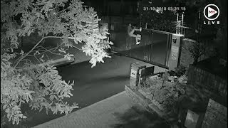 Not even electric fencing could stop this thief from breaking in [upl. by Crowley]