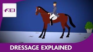 Introduction to Dressage [upl. by Aneertak]