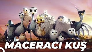 Maceracı Kuş Yellowbird Animasyon Filmi  Full Film İzle [upl. by Aicirtam942]