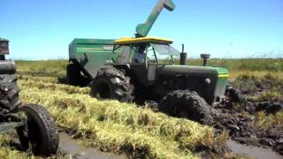 cosecha de arroz en corrientes [upl. by Macario416]