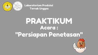 PRAKTIKUM PERSIAPAN PENETASAN [upl. by Meghan]