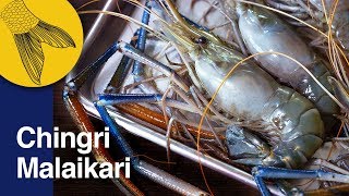 Chingri Malaikari Recipe—Bengali Prawn Malai Curry—Bengali Prawn Curry—Noboborsho Special [upl. by Ldnek]