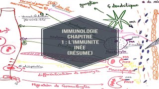 Immunologie chapitre 1  limmunite inée resume [upl. by Oigimer]