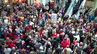 Hallelujah Chorus  Flashmob at Westfield Town Center Mall Valencia CA [upl. by Sregor]