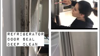 How to clean MOLD from a Refrigerator Door Seal DISGUSTING Using NATURAL household items [upl. by Cykana709]