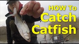 How to catch channel catfish  How I fish for catfish Bait Rigs Net [upl. by Lorrad296]