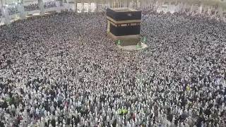 Hajj Tawaf 2019  Labbaik Allahumma Labbaik  Talash Peace [upl. by Hairehcaz]