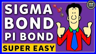 Pi and Sigma Bonds  Chemistry [upl. by Neona]