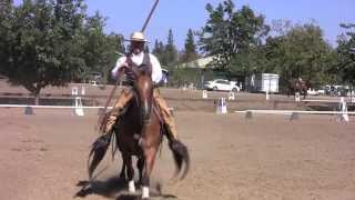 Cowboy Dressage Freestyle at the Gold N Grand [upl. by Ainorev148]