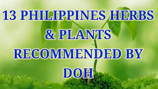 13 PHILIPPINES HERBS amp PLANTS RECOMMENDED BY DOH [upl. by Netram]