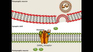 Diazepam  Mechanism of Action [upl. by Ahsiya]